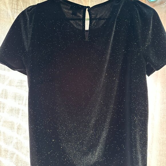 J. Crew Short Sleeve Velvet Top - Size XS - Picture 2 of 4